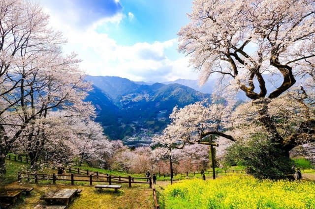 Best places to go depending on the season